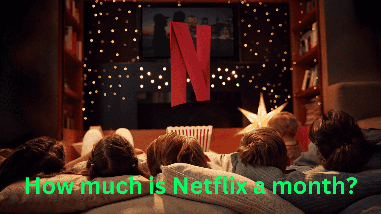 How Much Is Netflix a Month