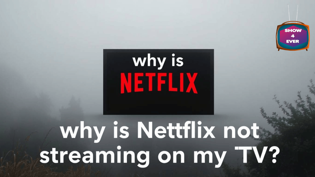 why is Netflix not streaming on my TV
